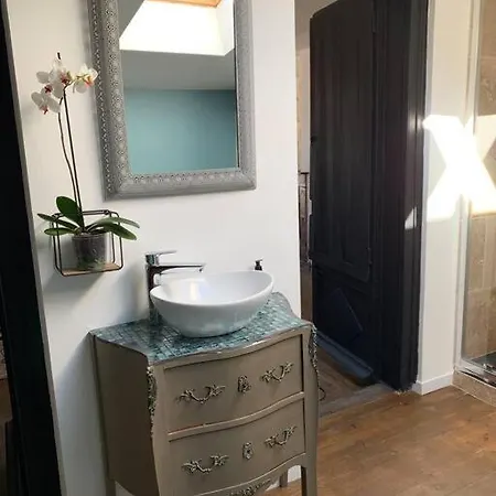 Magnifique Avec Jacuzzi Coeur De Apartment *
